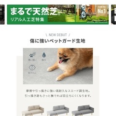 ソファの画像
