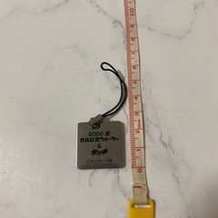 カルピスウォーター＆タッチ 長澤まさみ ストラップ 2005の画像