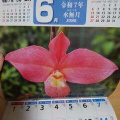 2025年カレンダーの画像