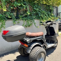 ジャイロX 側車付軽二輪登録 乗車定員2名 普通免許仕様 68cc 
キャブレターOHプラグ交換済の画像