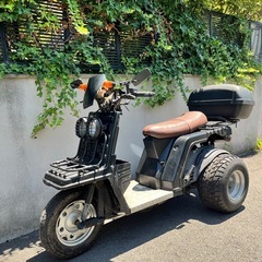 ジャイロX 側車付軽二輪登録 乗車定員2名 普通免許仕様 68cc 
キャブレターOHプラグ交換済の画像