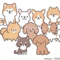 🐶✨犬好きさん集まれ！✨🐶