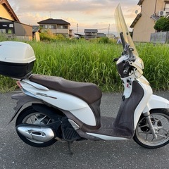 ☆即ノリ☆HONDA Shモード(JF51)愛知県一宮市の画像