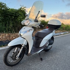 ☆即ノリ☆HONDA Shモード(JF51)愛知県一宮市の画像