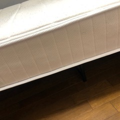 マドレースの画像