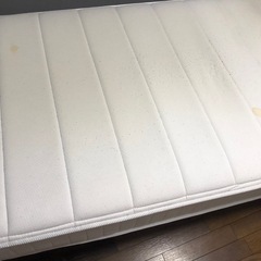 マドレースの画像