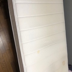 マドレースの画像