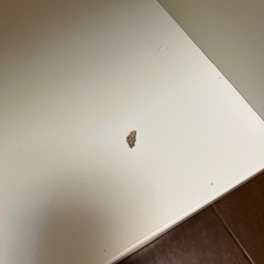 ikea  キッズ　トロファスト 収納ボックスの画像