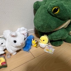 ぬいぐるみの画像