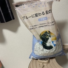 猫トイレ
の画像