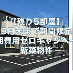 初期費用0、新築1LDK、ペット/二人相談可、駐車場有！
