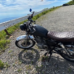 ボルティ250カスタム　ブラットスタイル　SR.ST.グラストラッカーの画像