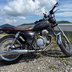 ボルティ250カスタム　ブラットスタイル　SR.ST.グラストラッカーの画像