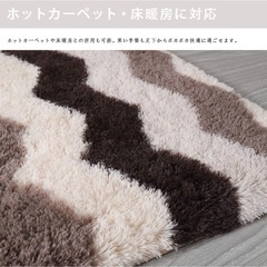 ラグ 200×300サイズの画像