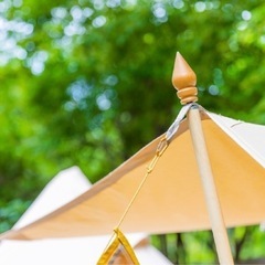決まりました‼️キャンプギア⭐︎ウッディーポール⭐︎（Alpen限定品）の画像