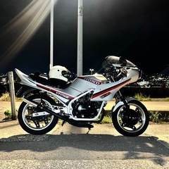 VT250F希少カラーの画像