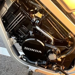 VT250F希少カラーの画像