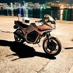 VT250F希少カラーの画像