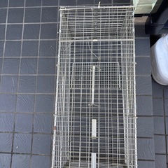 捕獲器の画像