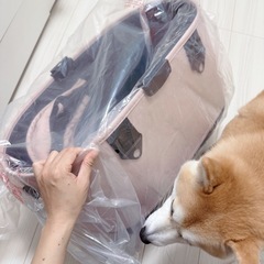 [新品]エアバギー ドーム3 レギュラーサイズ [コット単品] 小型犬用の画像
