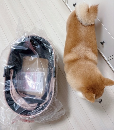 [新品]エアバギー ドーム3 レギュラーサイズ [コット単品] 小型犬用