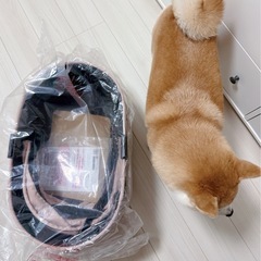 [新品]エアバギー ドーム3 レギュラーサイズ [コット単品] 小型犬用の画像