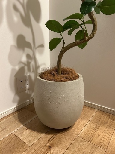 植木鉢