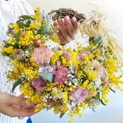 ミモザ　花部分　hjaの画像