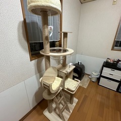 キャットタワーの画像