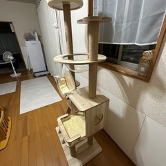 キャットタワーの画像