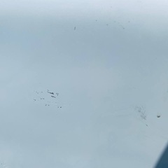 EJ5319番 ELSONIC ノンフロン冷蔵庫 EJ-R461Wの画像