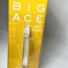 シンコール　BIGACE 壁装　クロス　カタログ　見本帳の画像