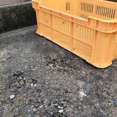 ②黄色いコンテナケース　1個 300円の画像