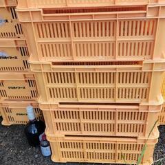 ②黄色いコンテナケース　1個 300円の画像