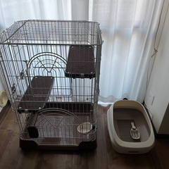 猫ゲージの画像