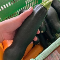 ズッキーニ　１本50円　５本200円の画像