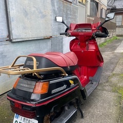 ホンダ　スペイシー250 フリーウェイの画像