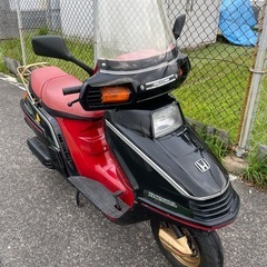 ホンダ　スペイシー250 フリーウェイの画像