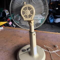 Bizarria 扇風機の画像
