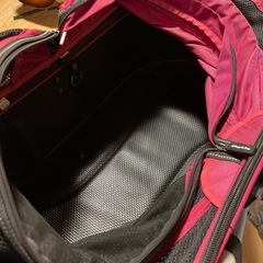 AirBuggyforDog  ペット用バギーの画像