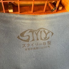 スタイリB型の画像