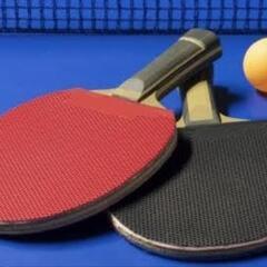 ★卓球🏓、気軽に楽しみま専科
