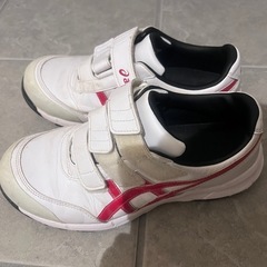 安全靴アシックス25.0cmの画像