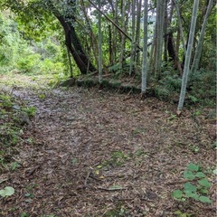 あなたの物になる譲渡型オッケー❣️元大豪邸🩵リノベーションして民泊？ - 不動産