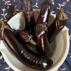 【新鮮野菜・今日朝採り・トマト・茄子】の画像