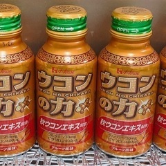 ペパリーゼ、ソルマック、ウコン計43本まとめ売りの画像