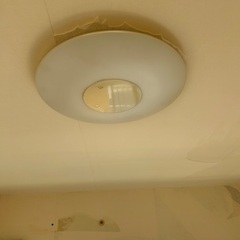 天井照明器具の画像