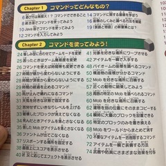 マイクラ神コマンド大全集の画像