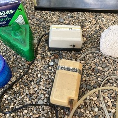 (決まりました)NISSO 　 40センチ　プラスチック水槽　その他の画像