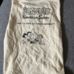 Tシャツ3枚、ハーフパンツの画像